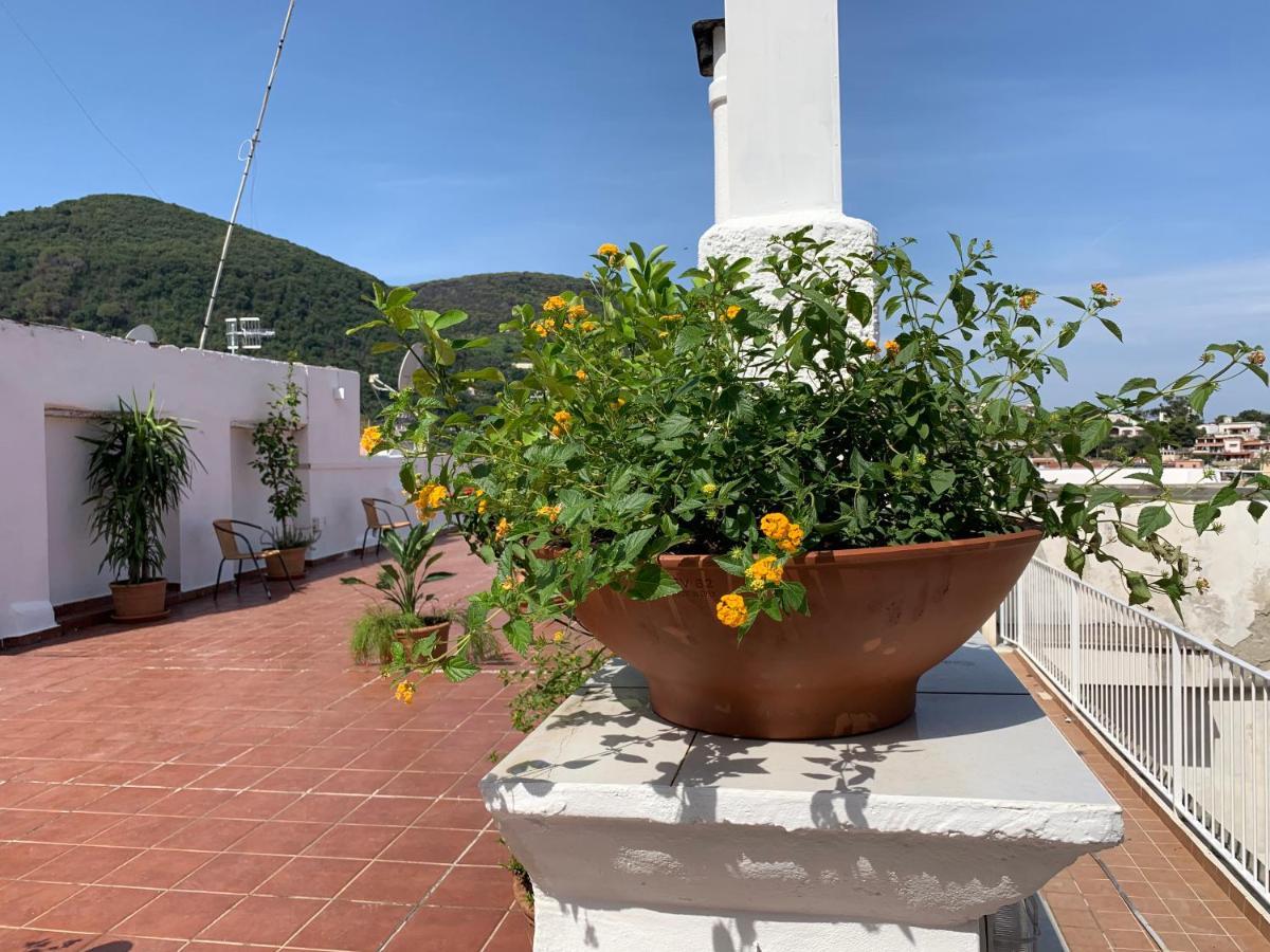 Molo35 Bed and Breakfast Ischia Exteriör bild